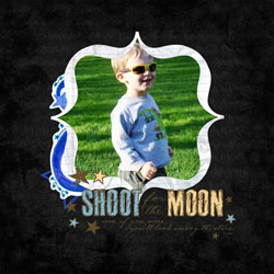 Shoot for The Moon