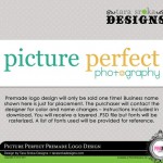 ts-pis-pictureperfect-premade-logo-preview