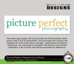 ts-pis-pictureperfect-premade-logo-preview